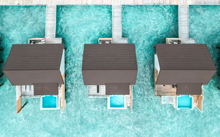 fushifaru x simply madeleine (7)