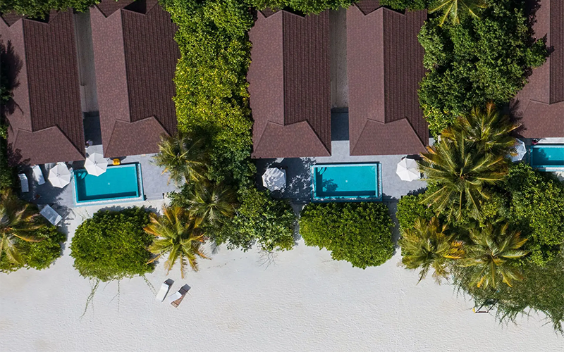 the standard cpcreatives40