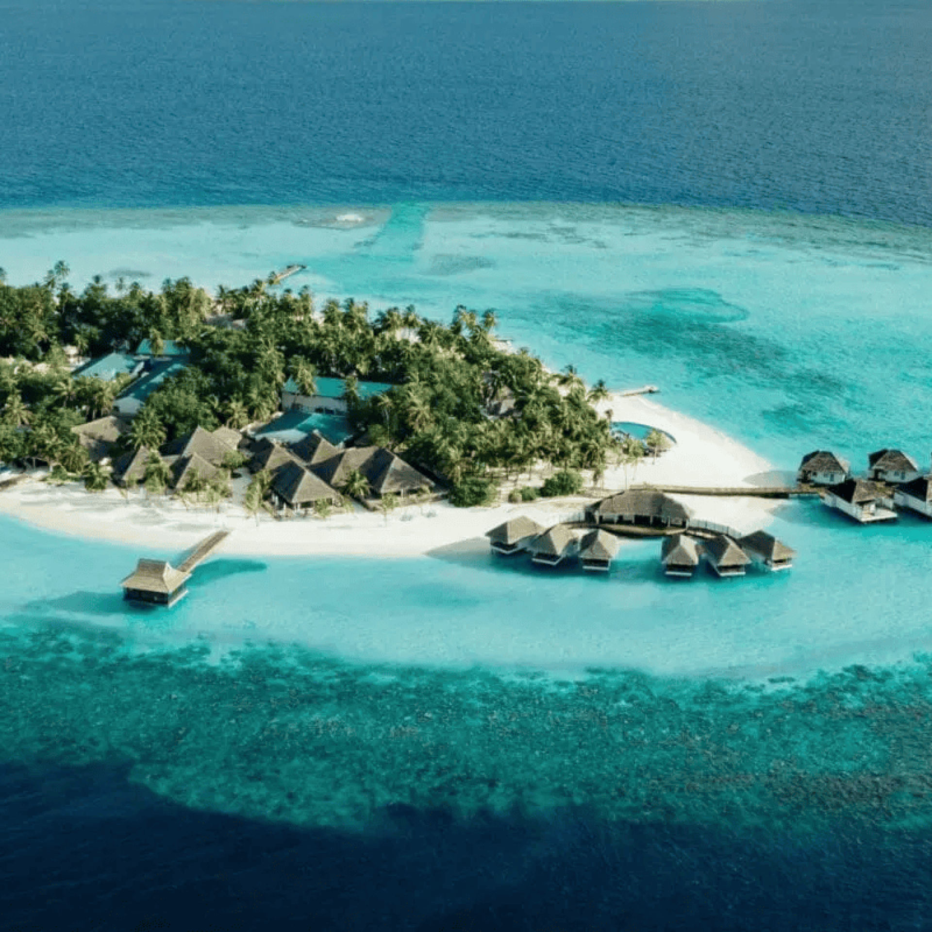 1 6 scaled compressed