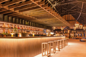 bonthi bar compressed