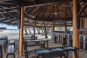 beach grill compressed