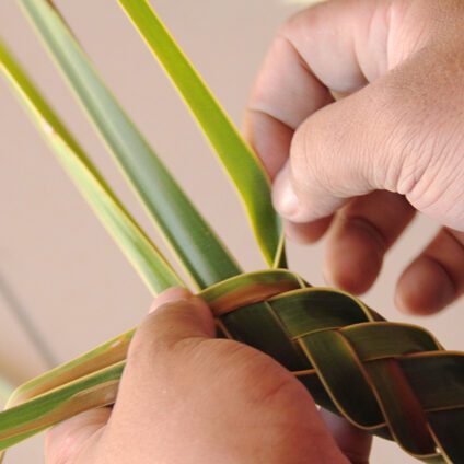 coconut craft