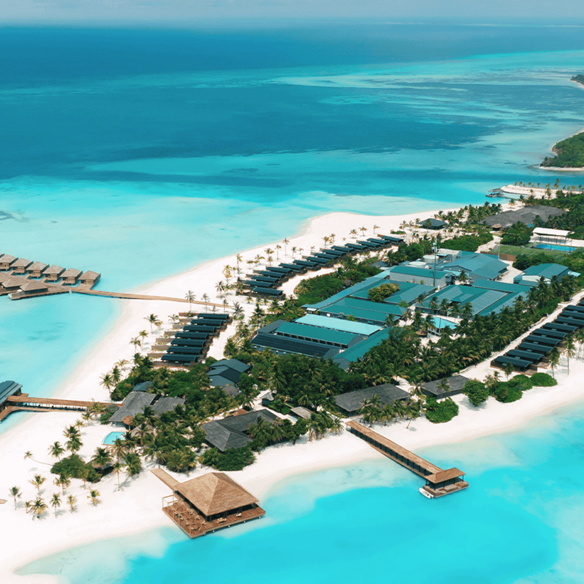 nala aerial portrait compressed