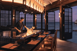 nova mizu compressed