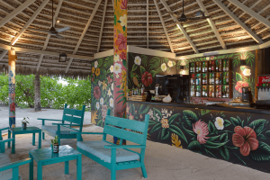 tiki bar compressed