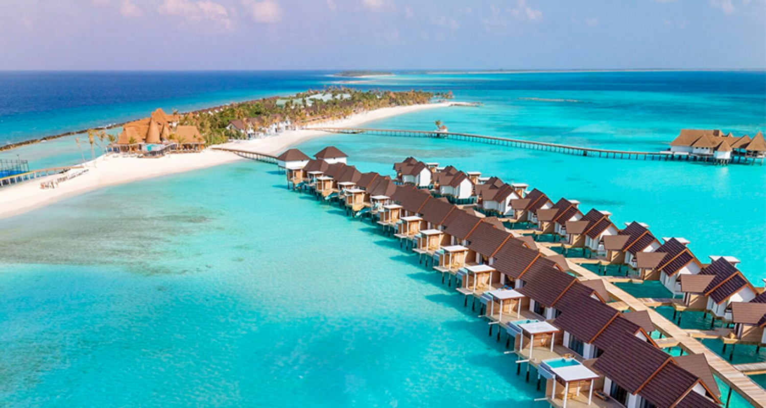 untitled 3