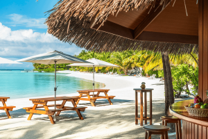 shemlesire 164057 kakuni hut high 01 v2