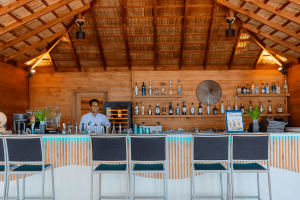 vilu bar compressed